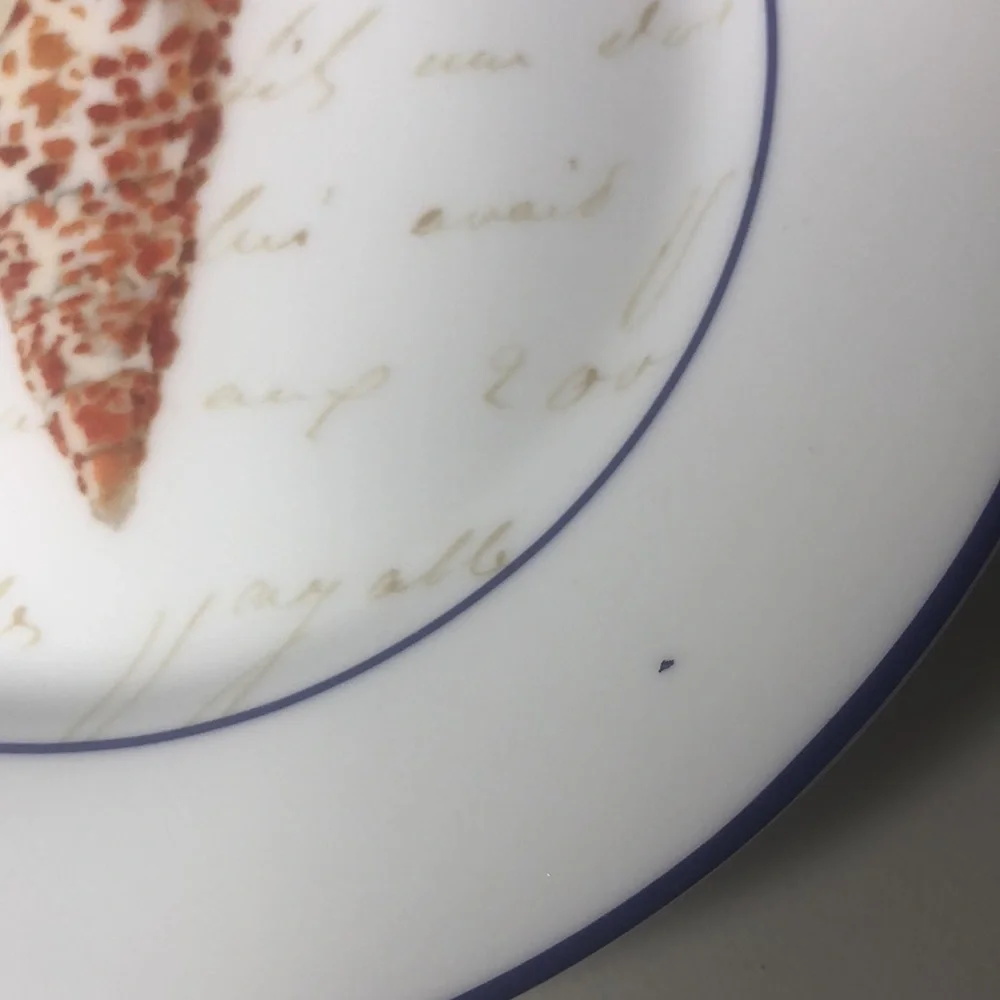 Williams Sonoma Set Seashell Salad Dessert Luncheon Plates